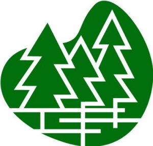 Evergreen Sports and Physical Therapy Logo
