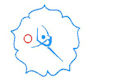 Ryhthmic-Gymnastics-logo-small_fortheweb.jpg