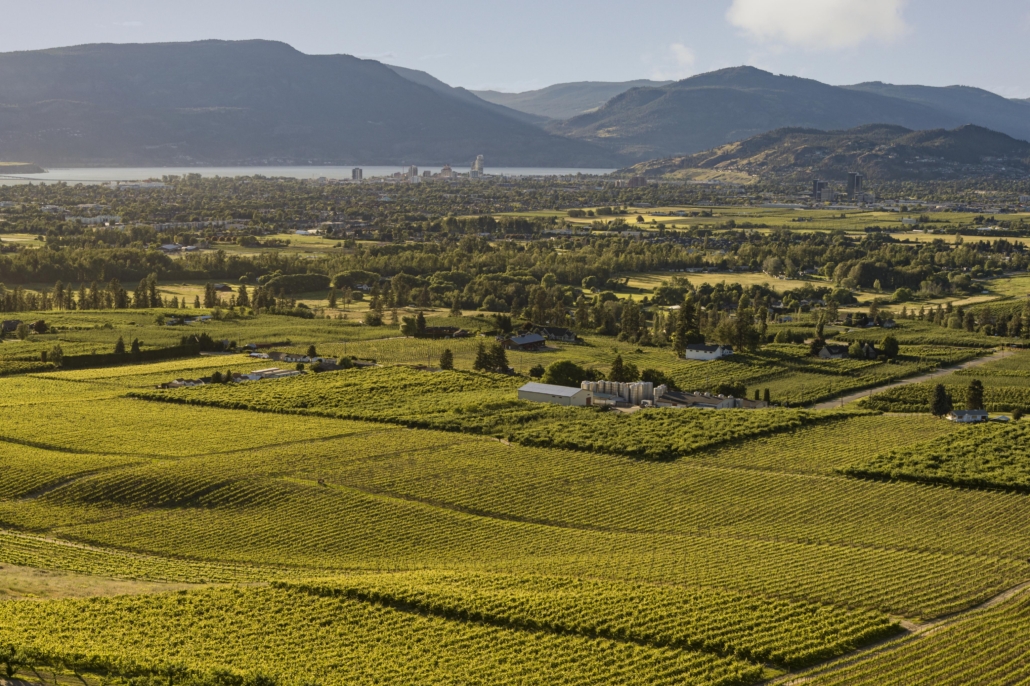 The View Winery. Photo courtesy of tourismkelowna.com – Shawn Talbot Photography