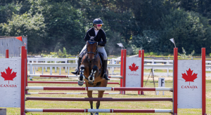 Equestrian jumping