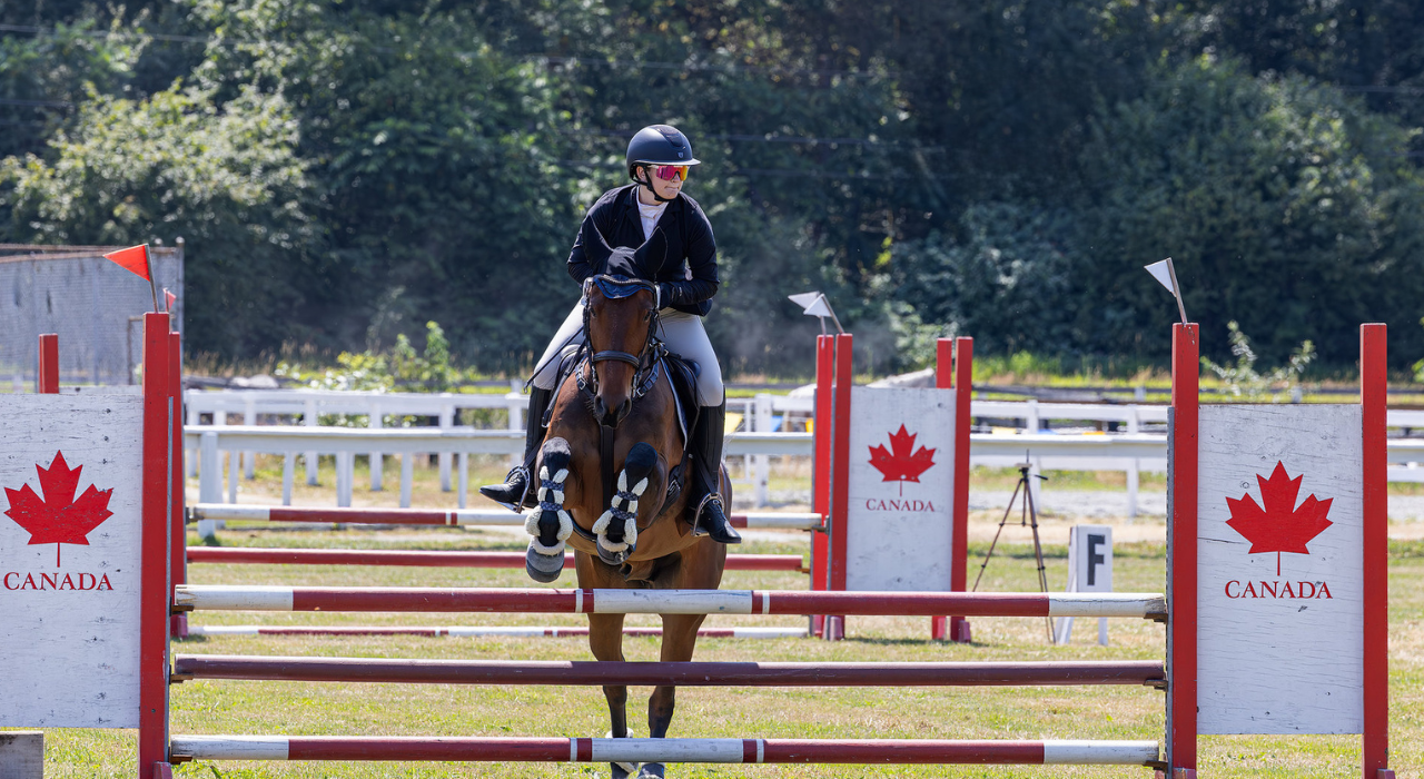 Equestrian jumping